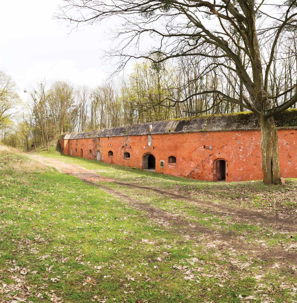 Fort Grosser Pfaffenberg