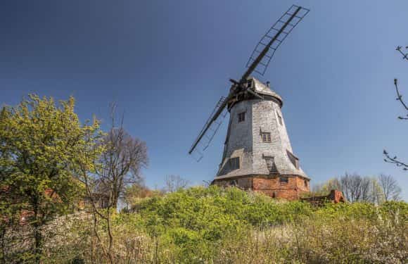 Wycieczka „Żuławy Wiślane”