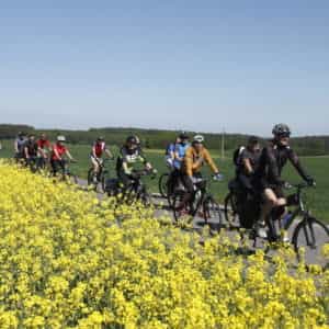 Ankieta na temat miejskich rajdów rowerowych MORiW- sezon 2021