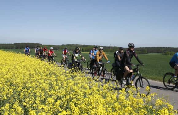 Ankieta na temat miejskich rajdów rowerowych MORiW- sezon 2021