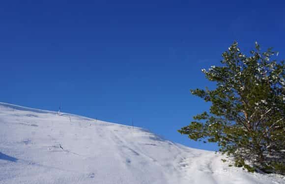 MARSZ PO „GÓRACH’ W OKOLICACH DOLNEJ GRUPY 19.02.2023