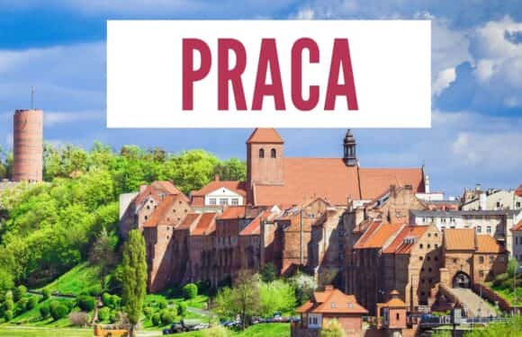Ogłoszenie o pracę – rekrutacja zakończona