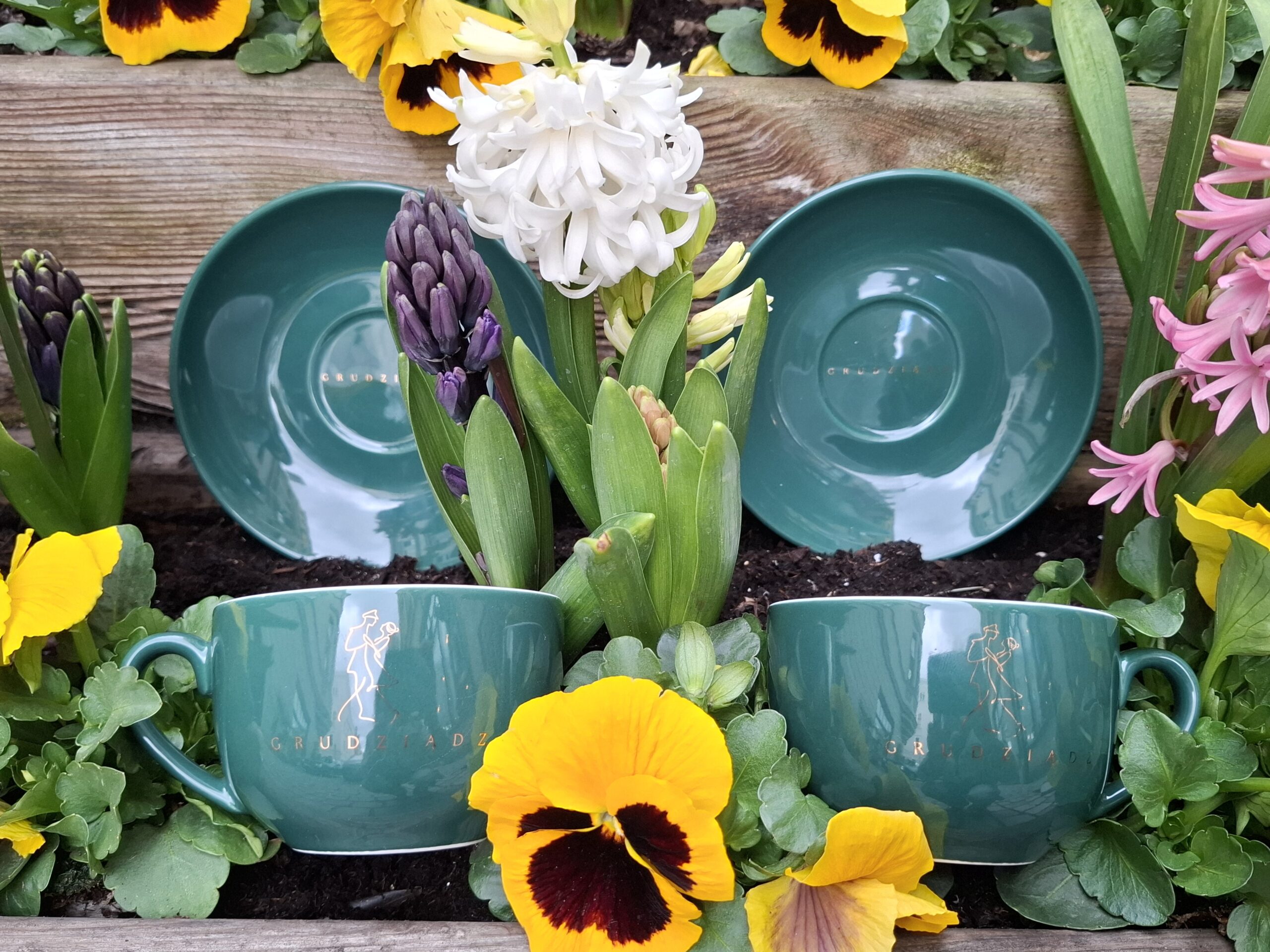 zdjecie grudziadzkiej filizanki